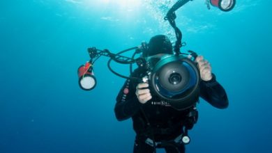 конкурс подводной фотографии в Монако