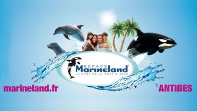 Парк Marineland в Антибах