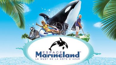 Парк Marineland - логотип