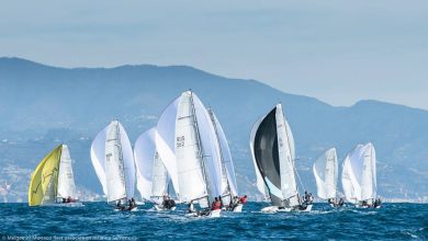Primo Cup-2016