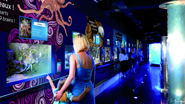 Смена тарифов в Музее Океанографии