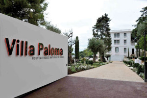Villa Paloma