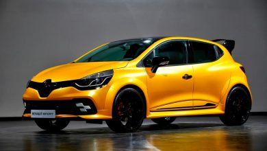 Clio R.S. 16