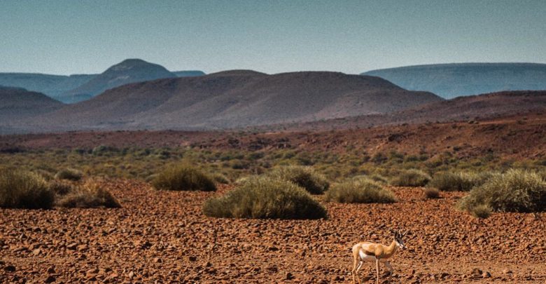 пустыня Намиб