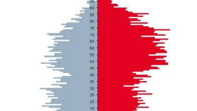 Age Pyramid