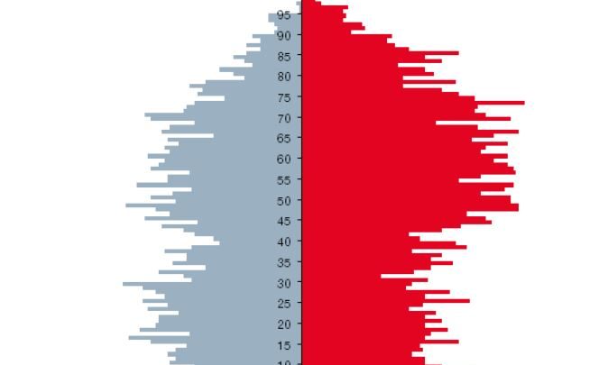 Age Pyramid