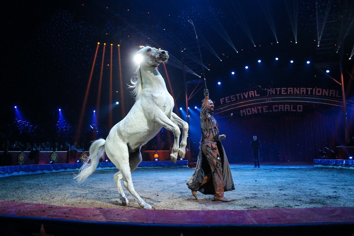 Международный цирковой фестиваль