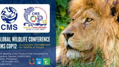 Монако на 12-й конференции сторон Конвенции по сохранению мигрирующих видов диких животных