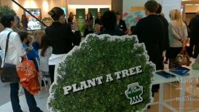 PlantAhead: глобальная кампания по посадке триллиона деревьев стартовала из Монако!