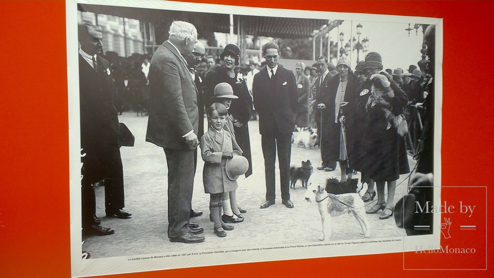 Красная дорожка 91-ой Международной выставки собак в Монако