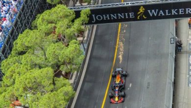 Гран-при Формулы 1: торжество скорости и везения
