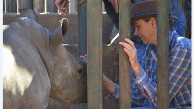 Дела княжеские: княгиня Шарлен посетила приют носорогов в провинции Лимпопо