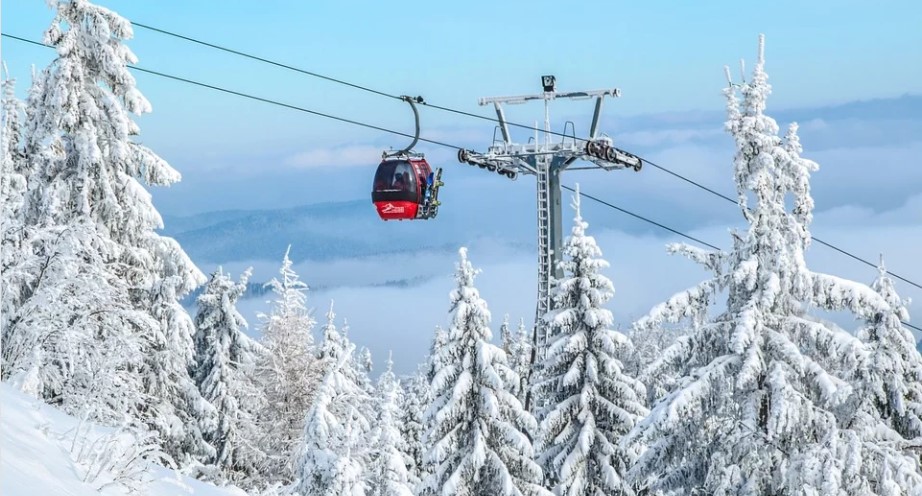 Вставай на лыжи: 7 горнолыжных курортов рядом с Монако
