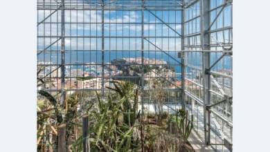 Экзотический сад Монако на страже вымирающих растений