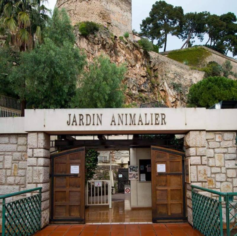 Зоологический сад Монако открывается после реновации