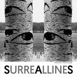 Выставка фотографий «SURREALLINES»