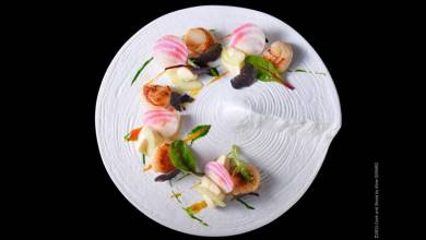 Fine dining: живые цветы на тарелке