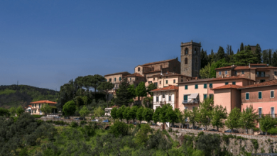 Итальянские каникулы: Пиза, Сиена, Флоренция, Портовенере и Монтекатини