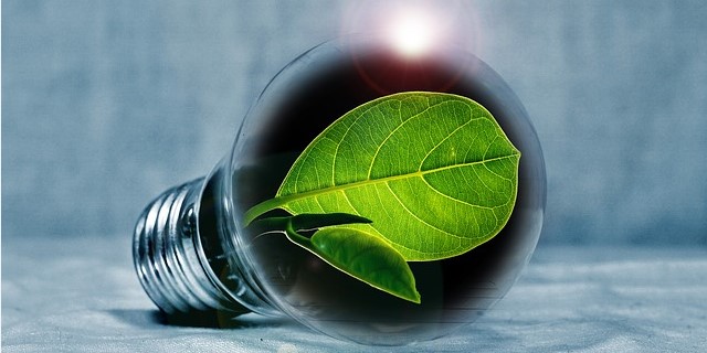 Развитие "зелёной" энергии в княжестве набирает обороты