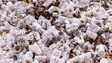 Новый запрет на пластик в Монако с 1 января