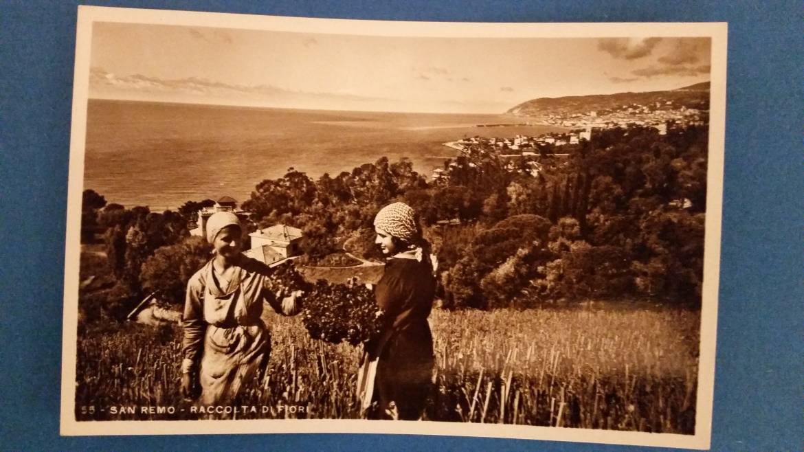 Цветоводство на Итальянской и Французской Ривьере: идеи в цвету