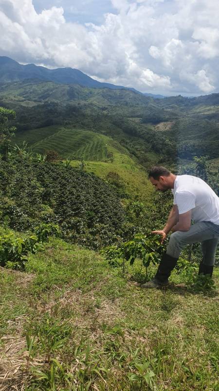 Green Coffee — самый «зелёный» кофе Княжества Монако