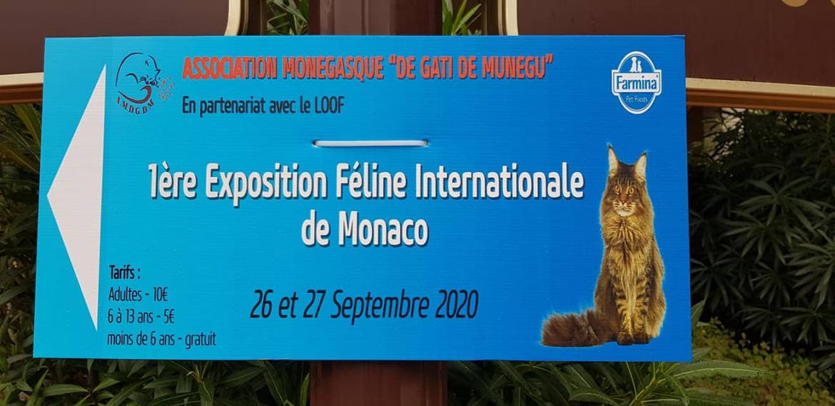 1-я Международная выставка кошек в Монако