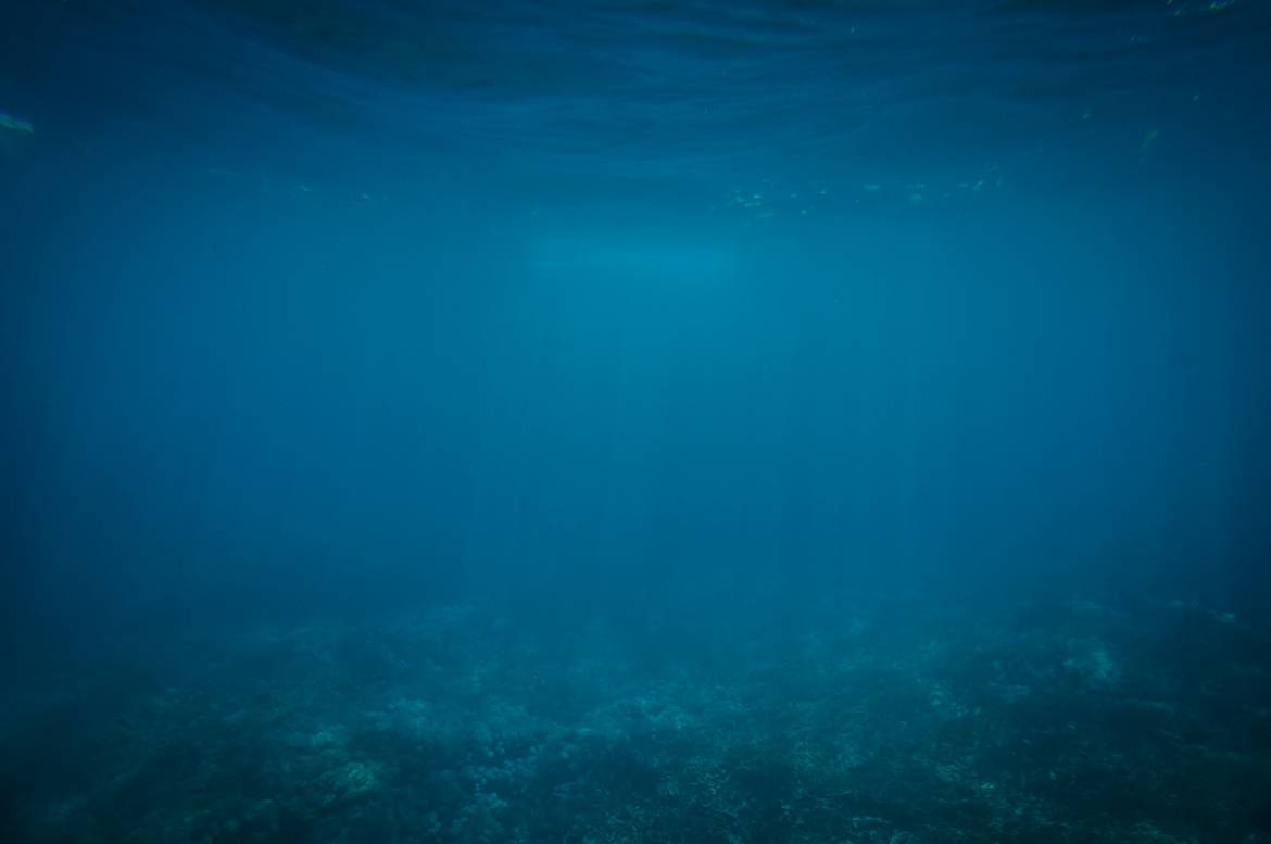 Экспедиция OceanoScientific изучит причины загрязнения в Средиземноморье