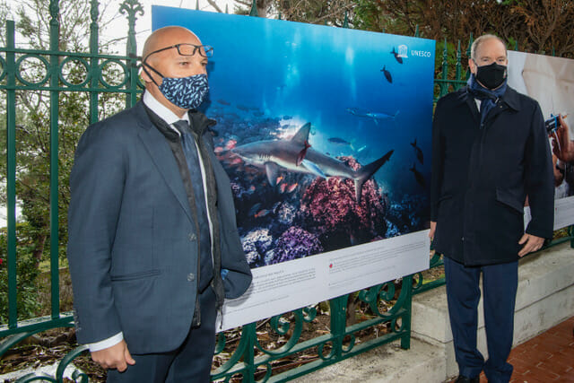 Новая фотовыставка в Монако была открыта князем Альбером II