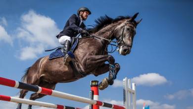 Подготовка к Jumping International: дорожные работы ожидают Монако