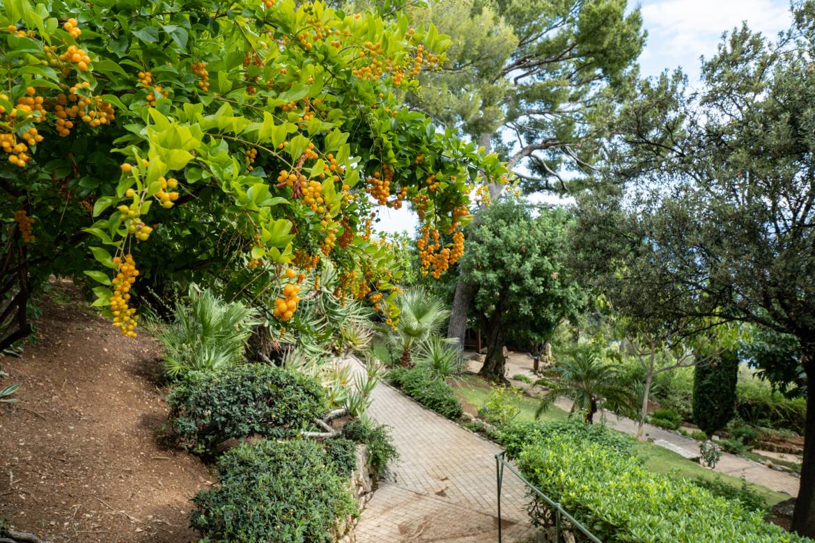 Восхитительные сады недалеко от Княжества Монако