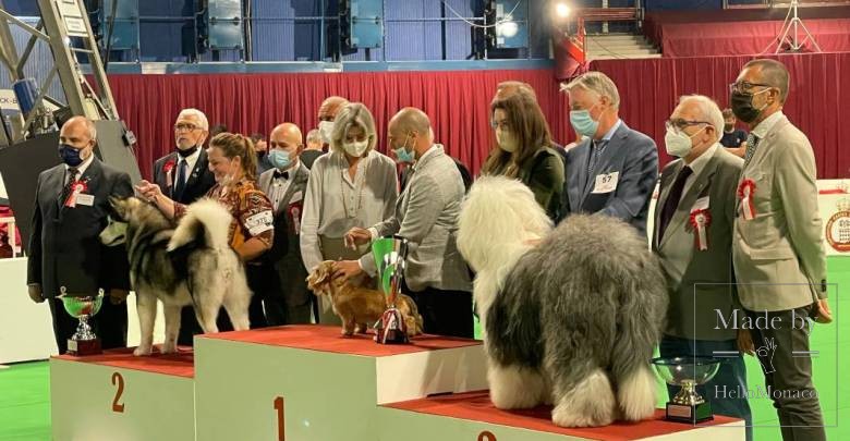 Редкие и экзотические породы на Выставке собак в Монаком