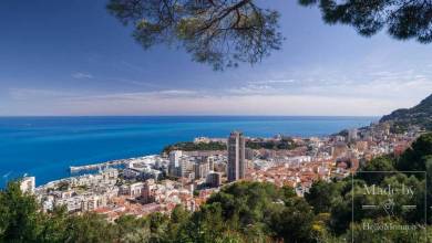 В Монако хотят снова выступить против обязательной вакцинации