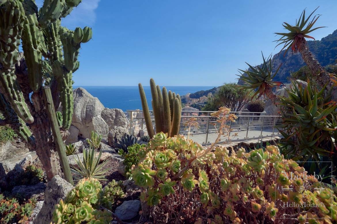 Экзотический сад Монако признан самым красивым парком в мире