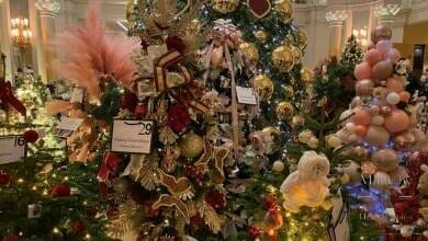 Благотворительный аукцион новогодних ёлок дарит праздник