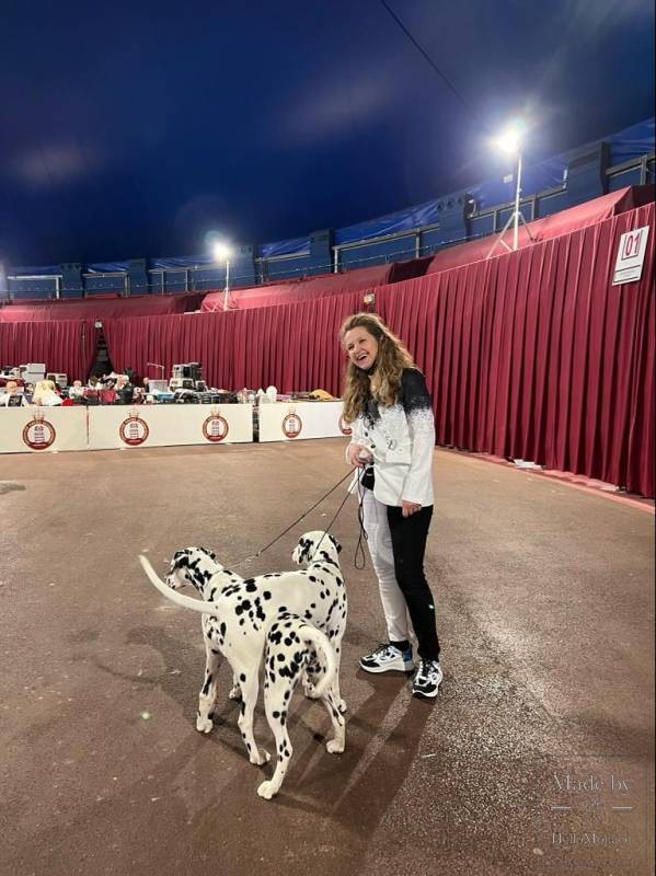 Усы, лапы, хвост: как прошла Международная выставка собак в Монако