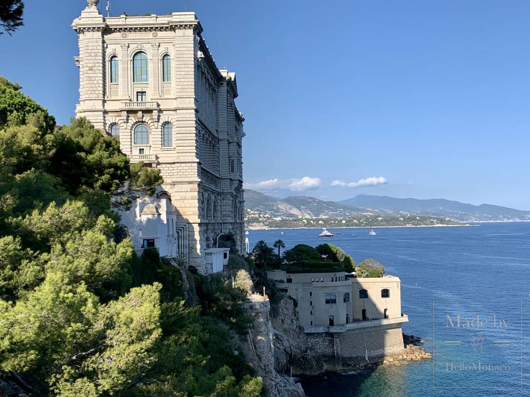 Океанографический музей Монако был организован князем Альбером I в 1910 году. 